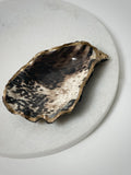 Oesterschelp "black & animal pattern"