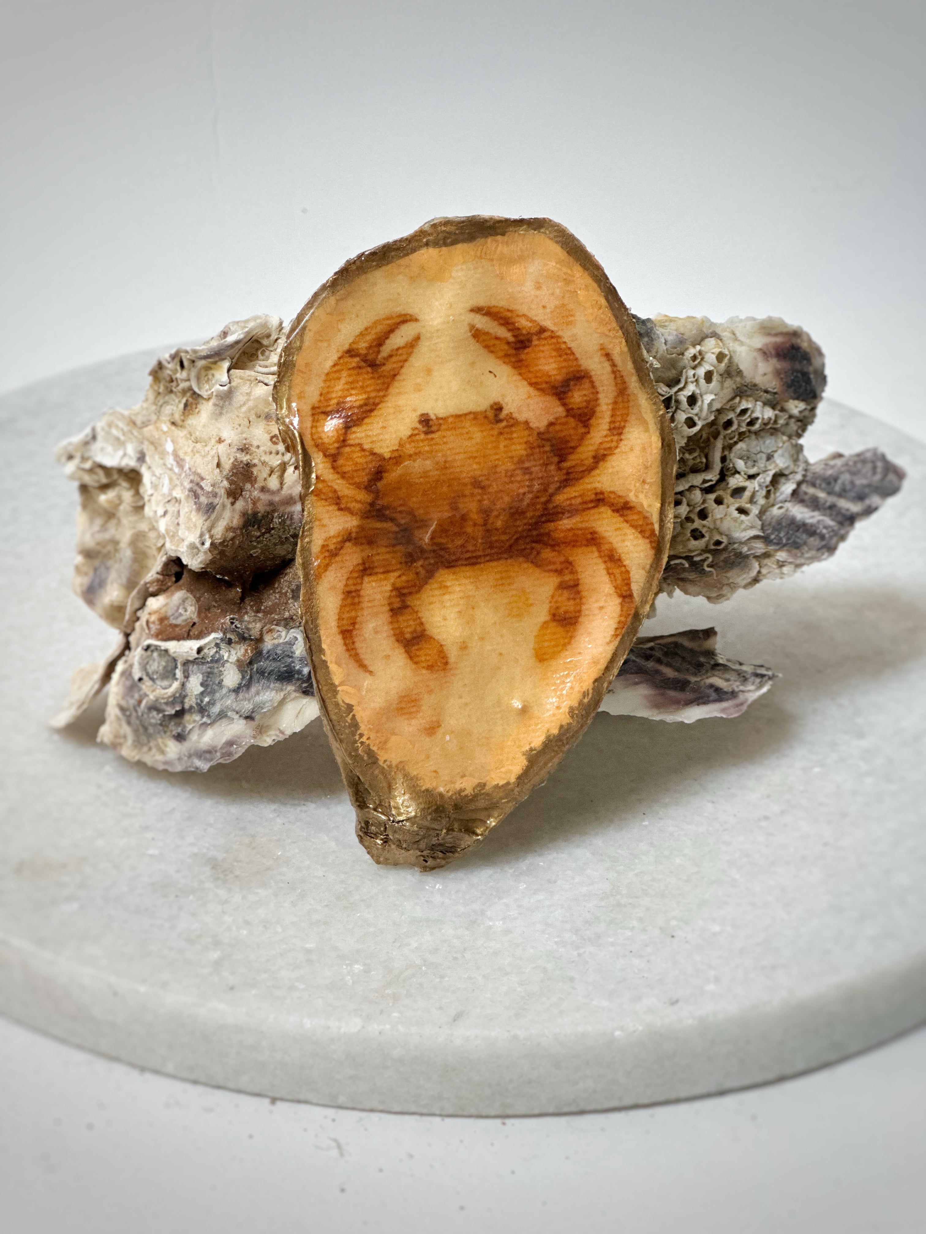Oester | Motief "Krab"