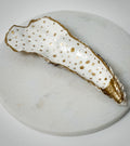 Oesterschelp "Golden accent" (L)