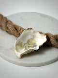 Oester | Motief "Zeejongen"