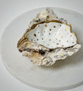 Oesterschelp "Golden accent" (L)