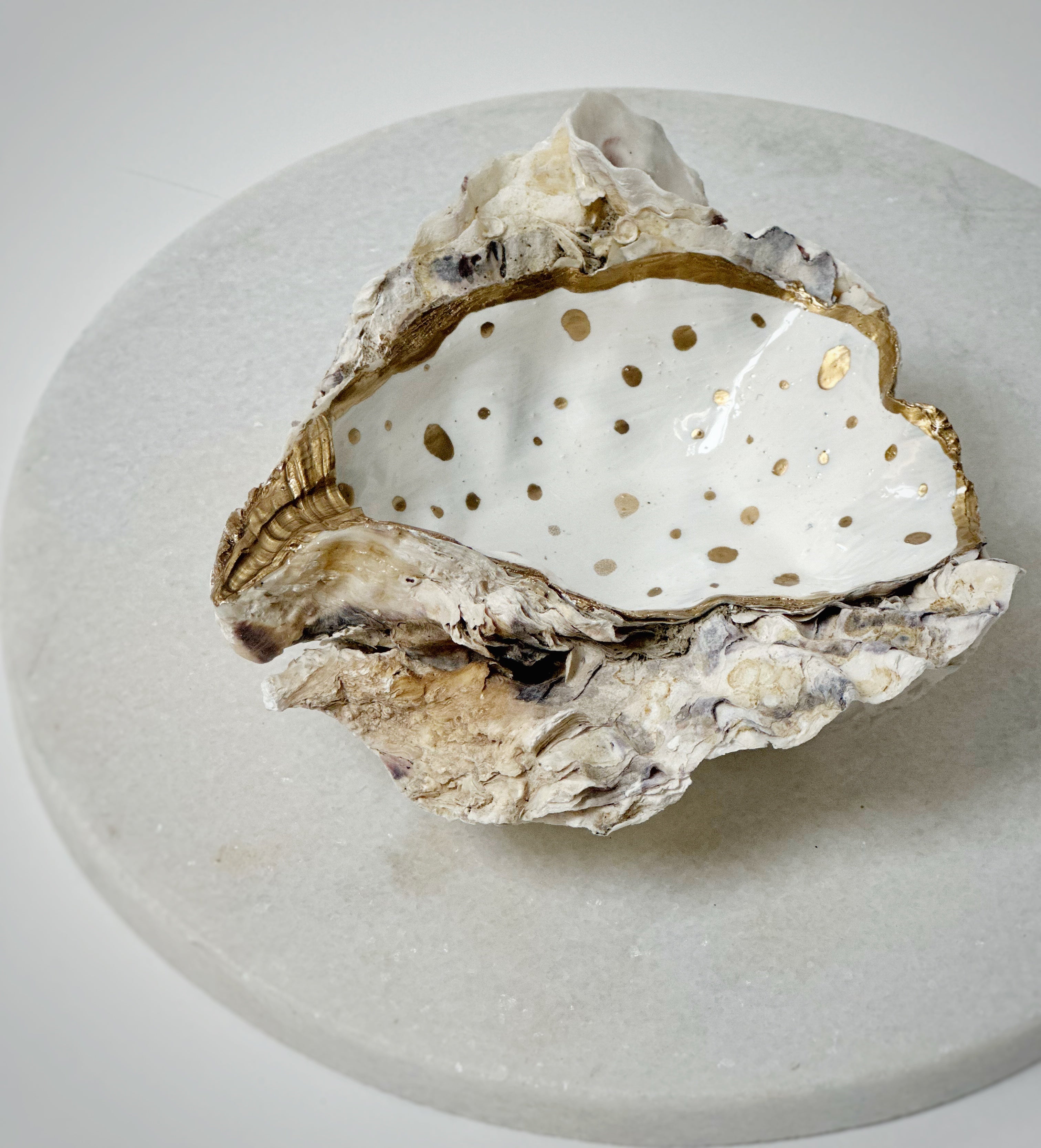 Oesterschelp "Golden accent" (L)