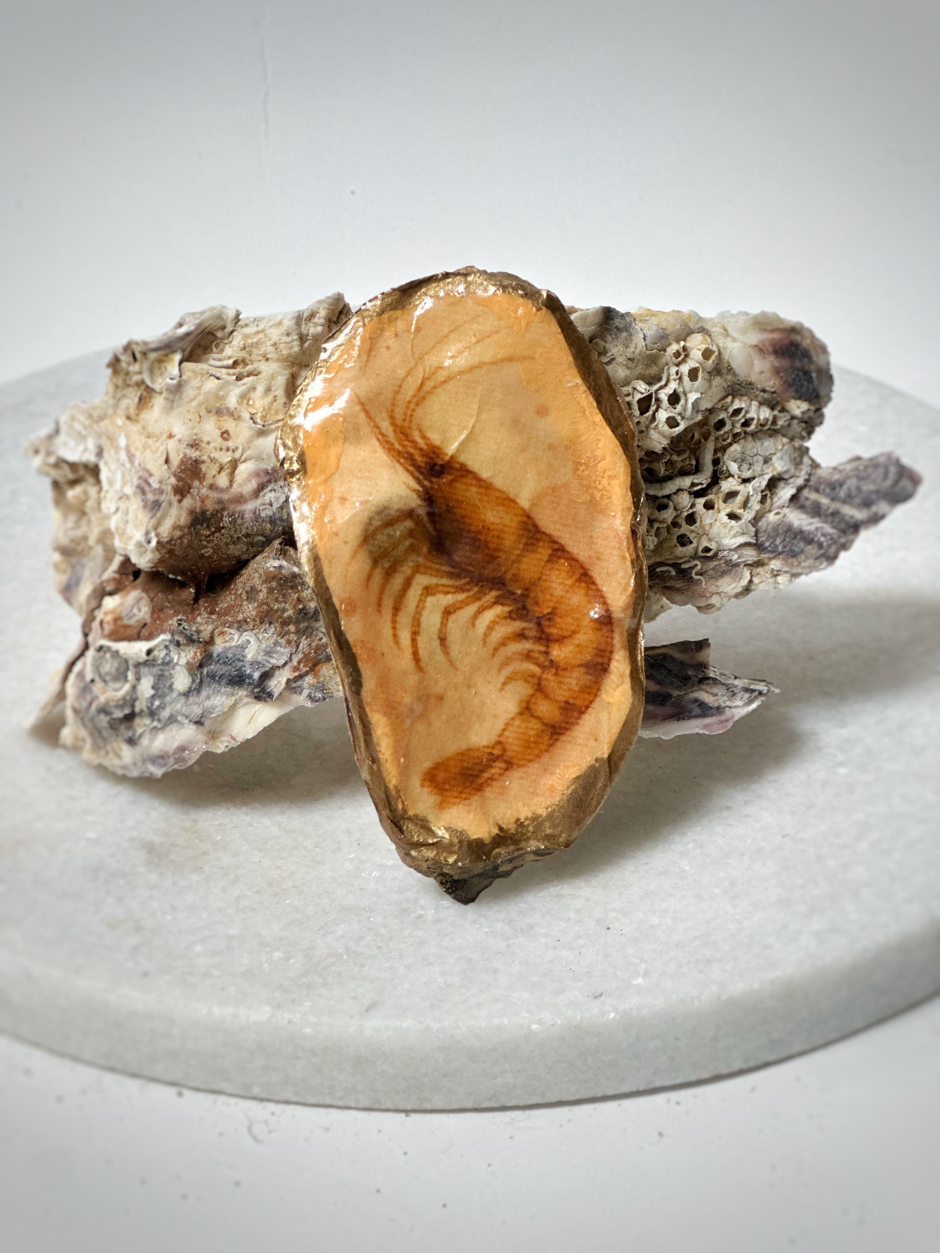 Oester | Motief "Garnaal"