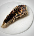 Oesterschelp "black & leopard"