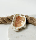 Oyster | Motif "Sandina"