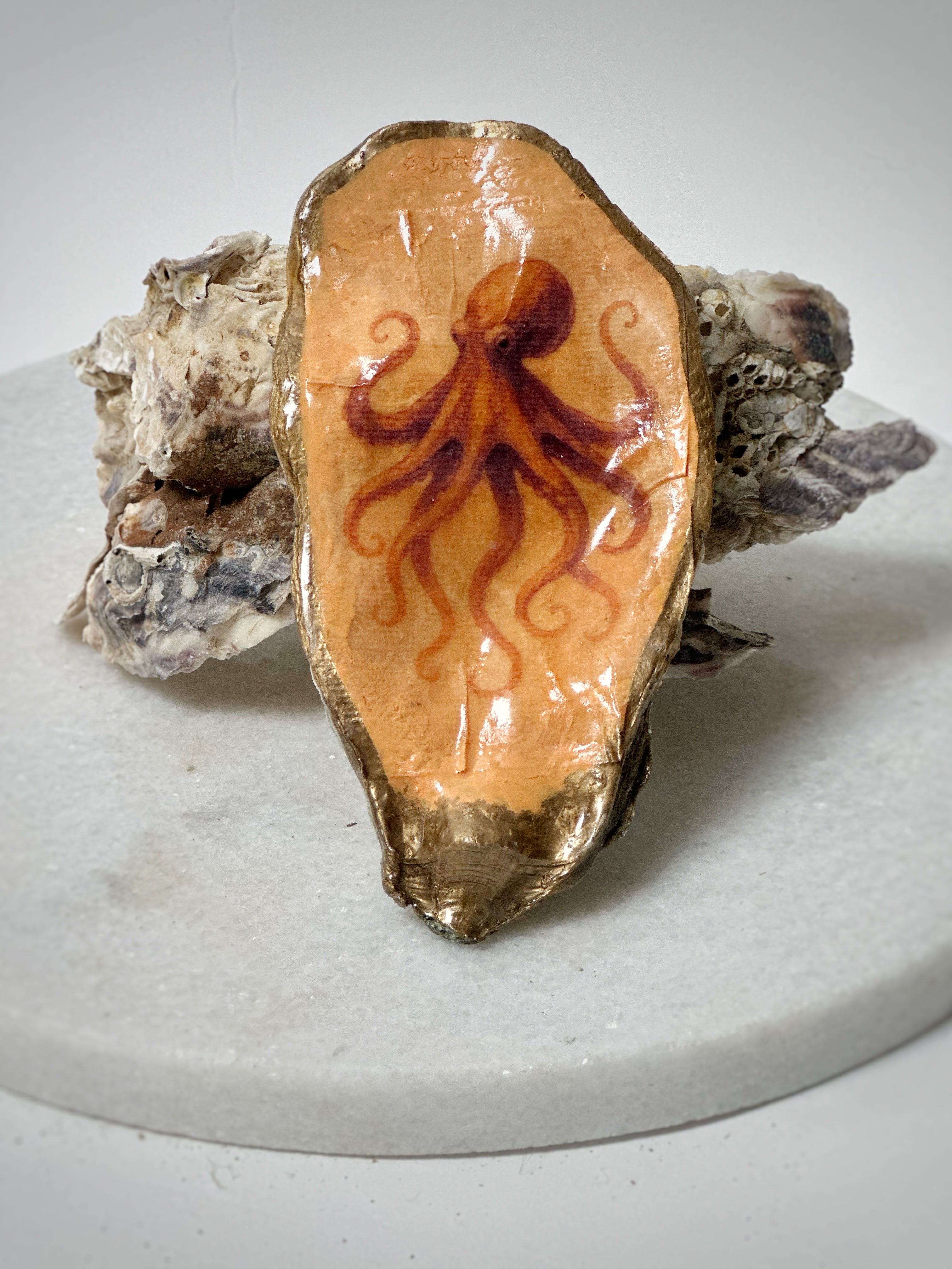 Oester | Motief "Octopus"