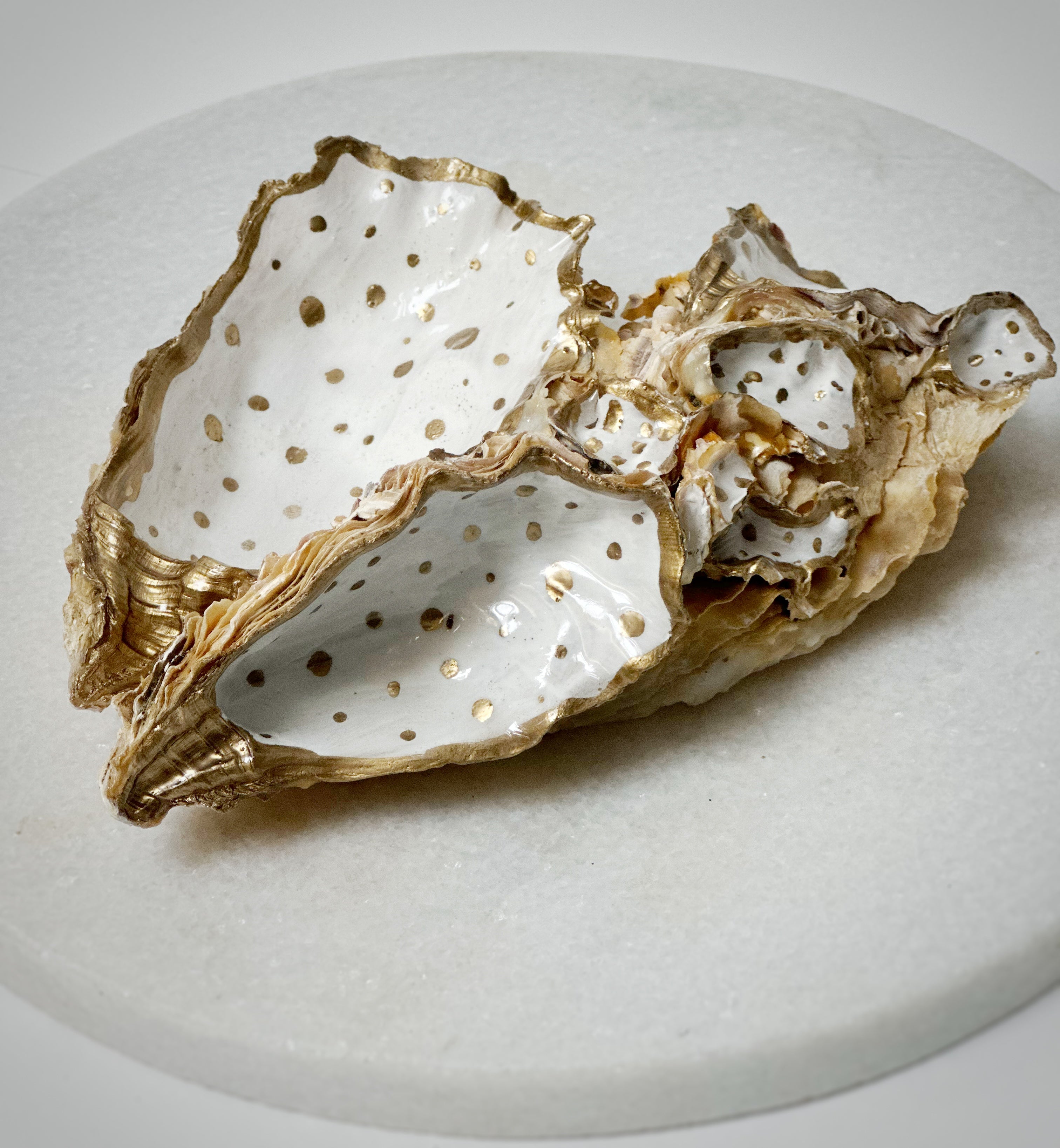 Oesterschelp "Golden accent" (L)