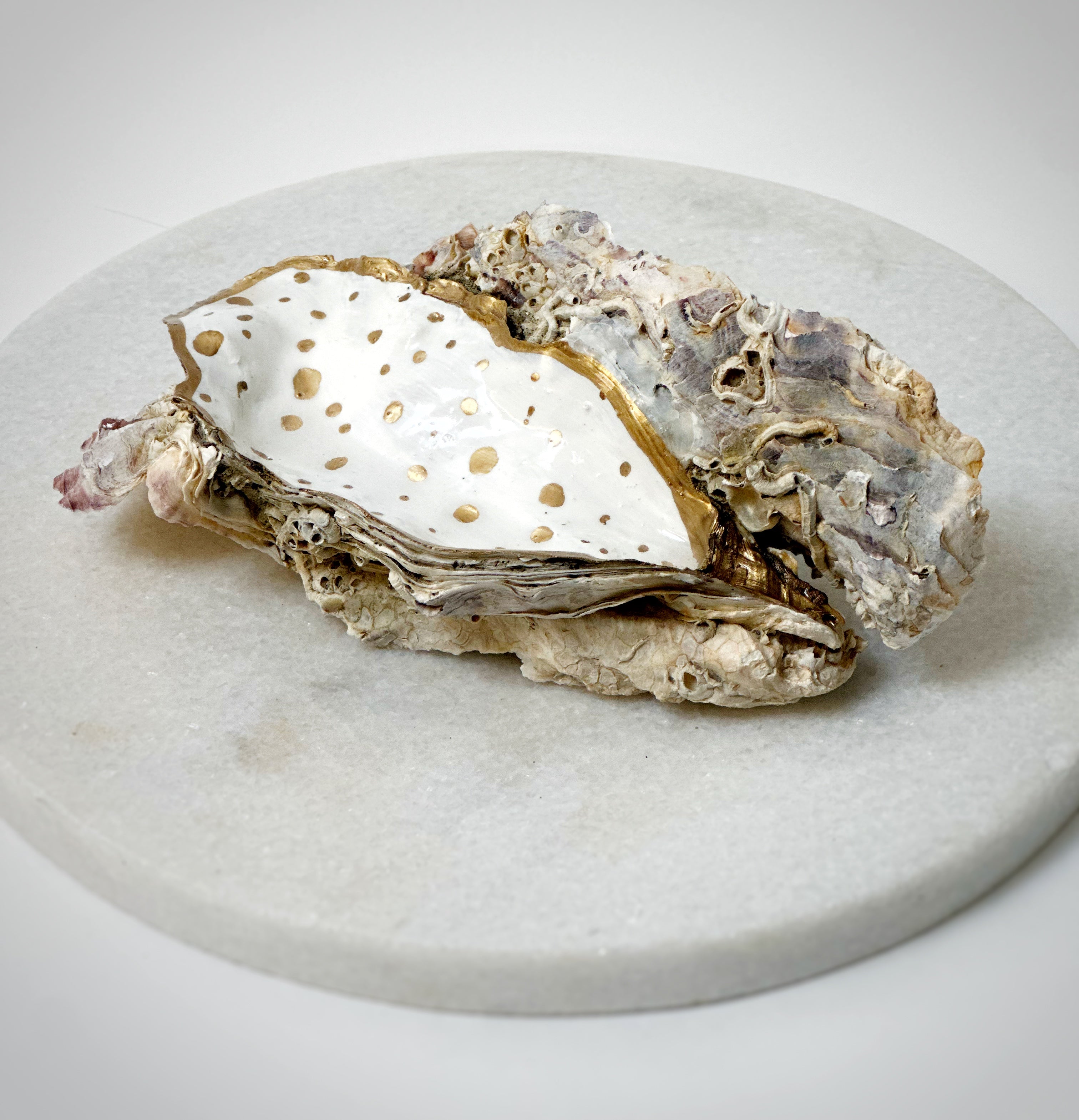 Oesterschelp "golden accent" (L)