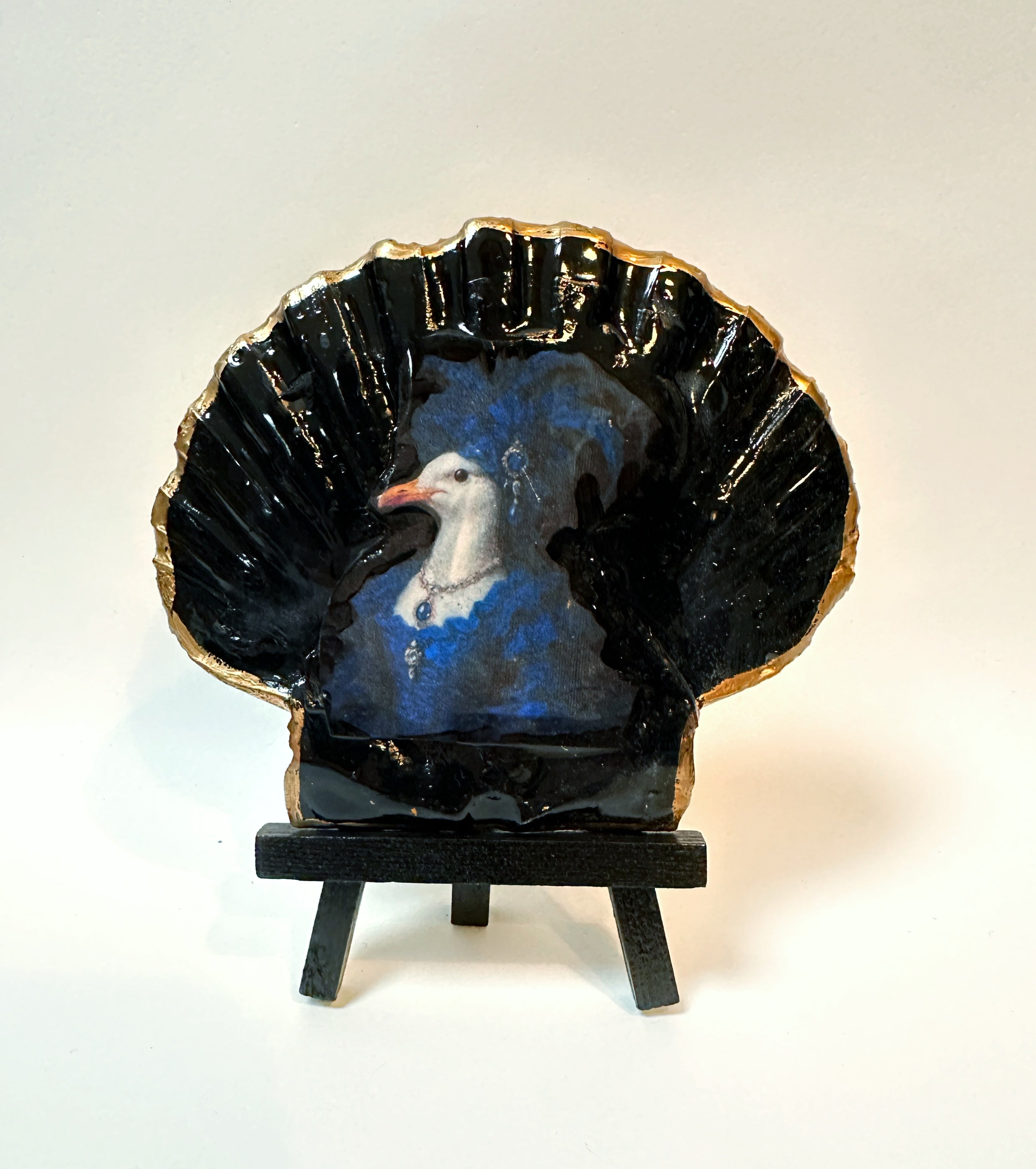 Jakobsmuschel "Blue Lady"