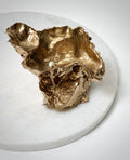 Oesterschelp "gold & pearls"