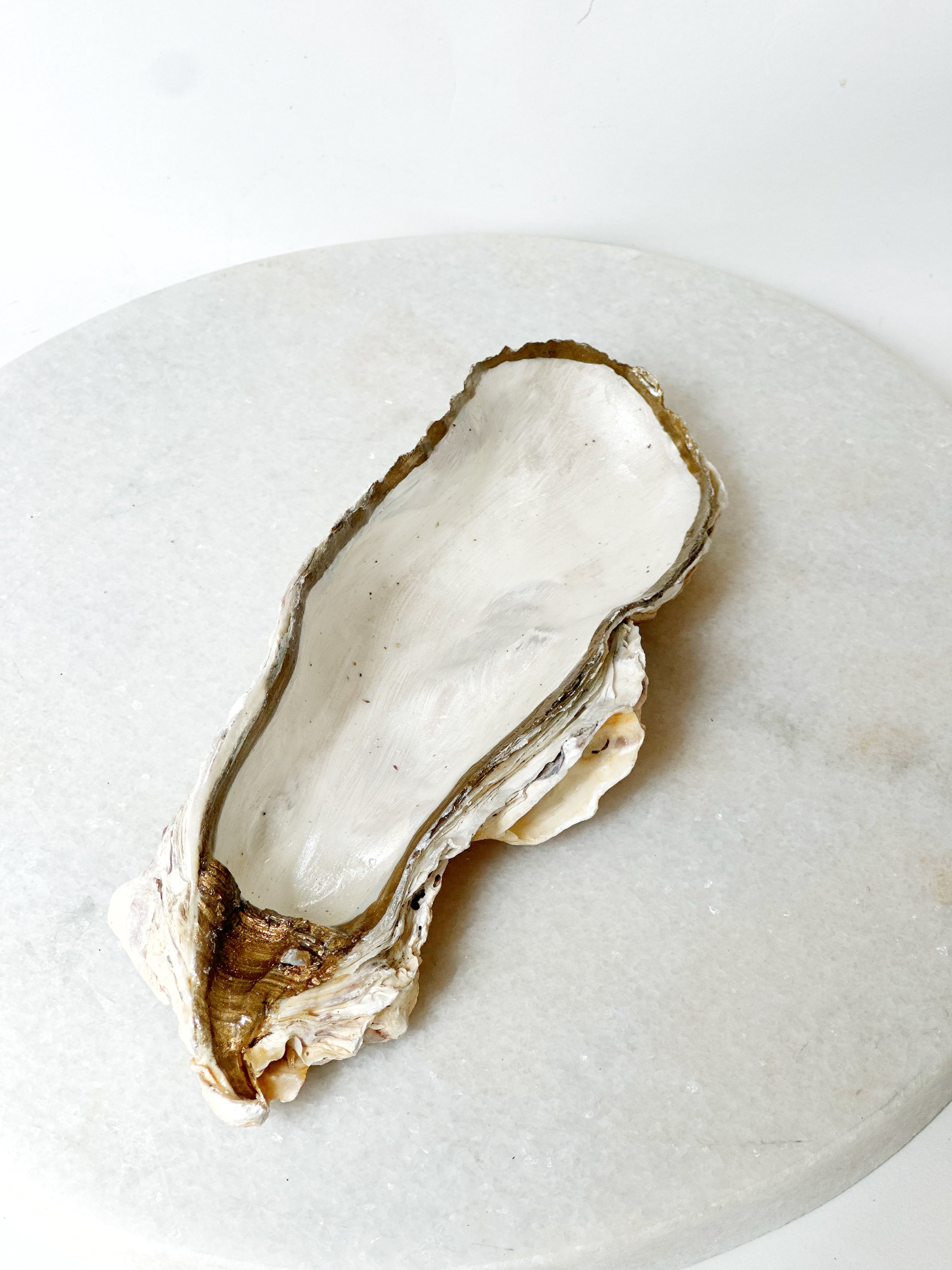 Austernschale "Pure Pearl" (L)