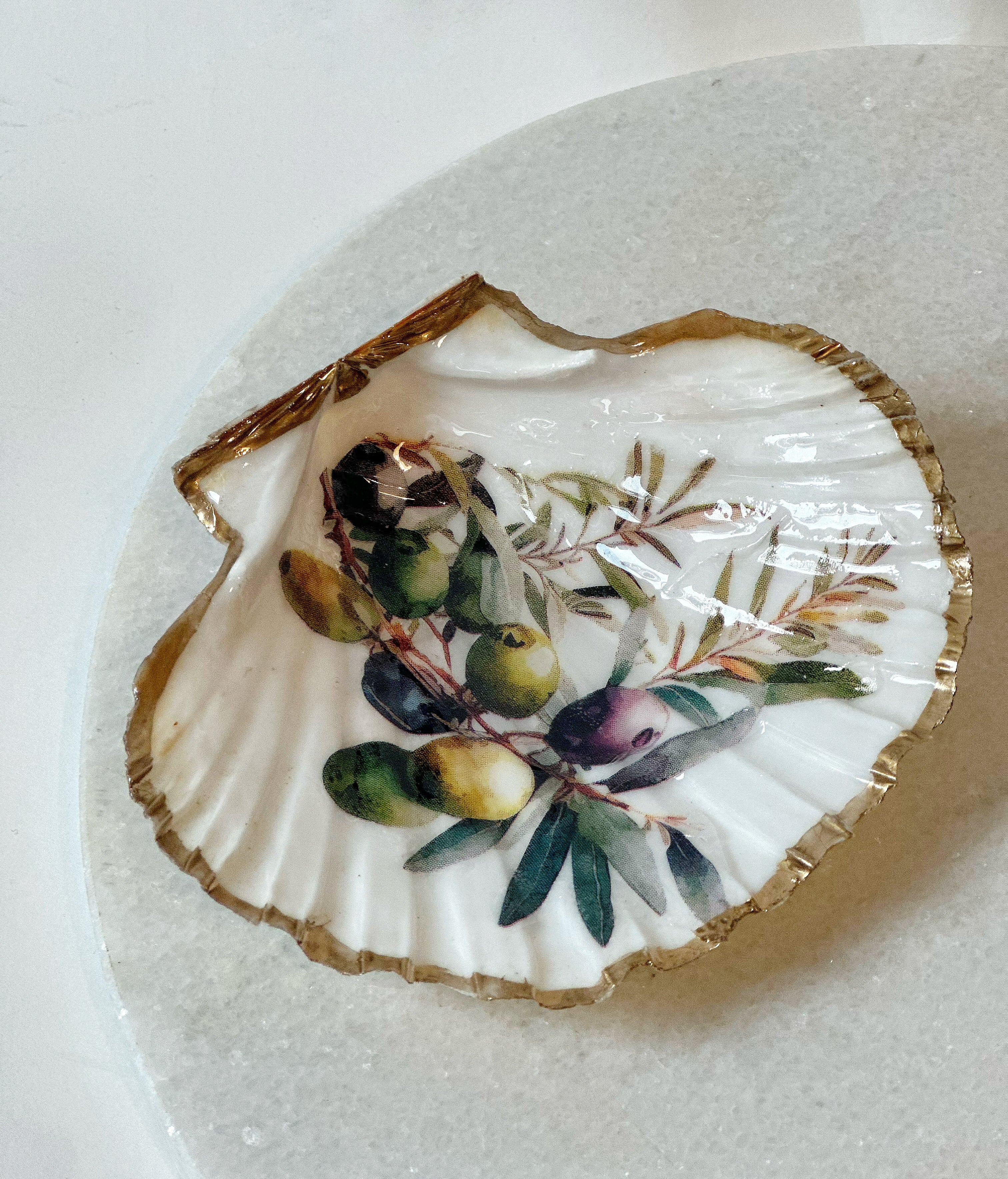 Sint-jakobsschelp “Olive Mare”