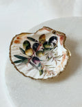 Sint-jakobsschelp “Olive Mare”