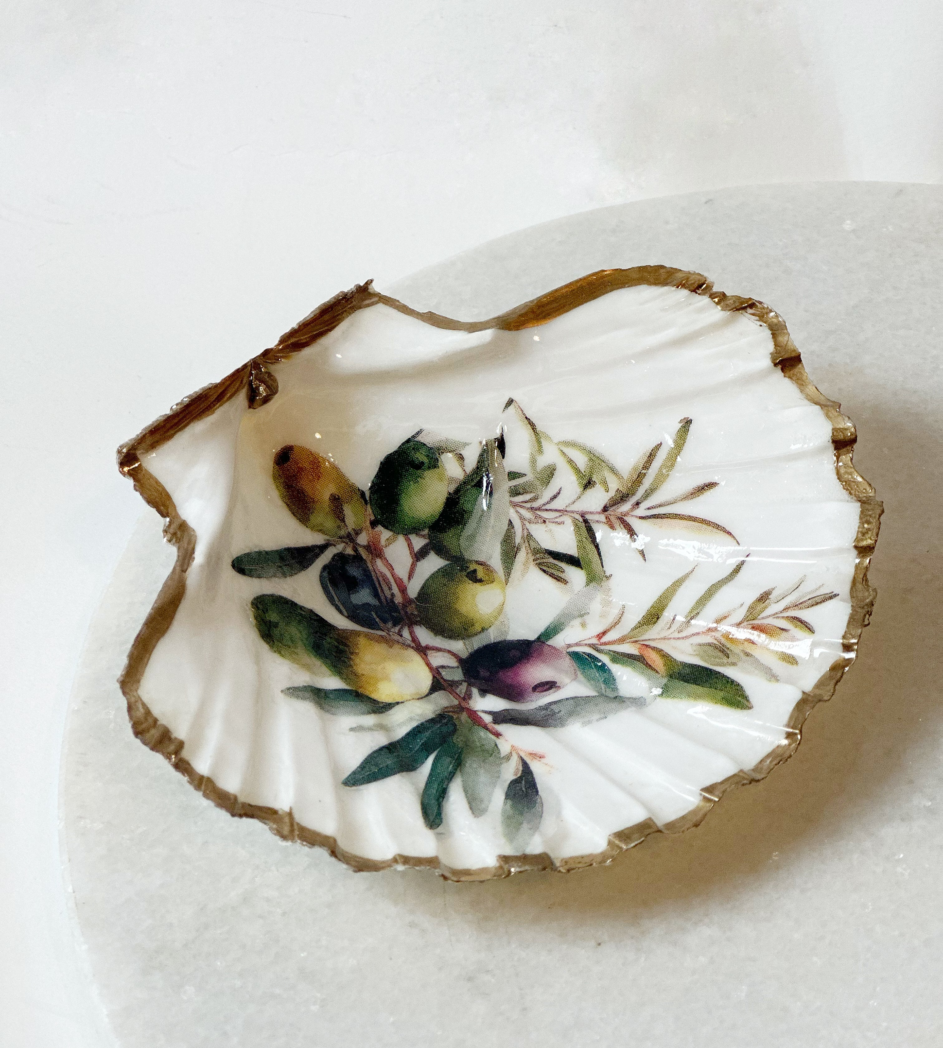 Sint-jakobsschelp “Olive Mare”