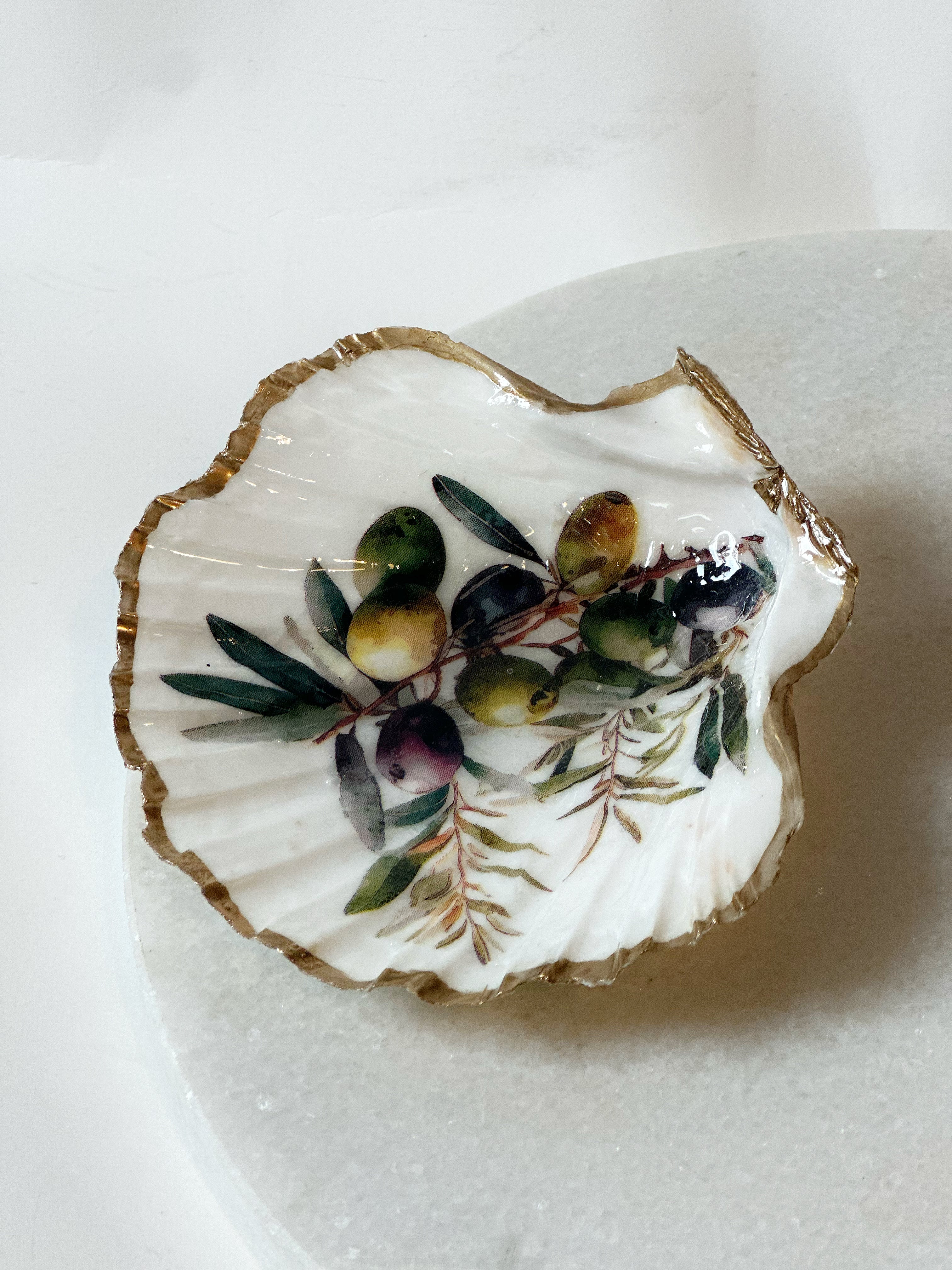 Sint-jakobsschelp “Olive Mare”
