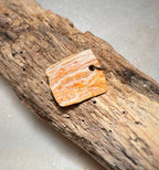 Kettinghanger van schelp