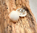 Shell stud earrings (silver)