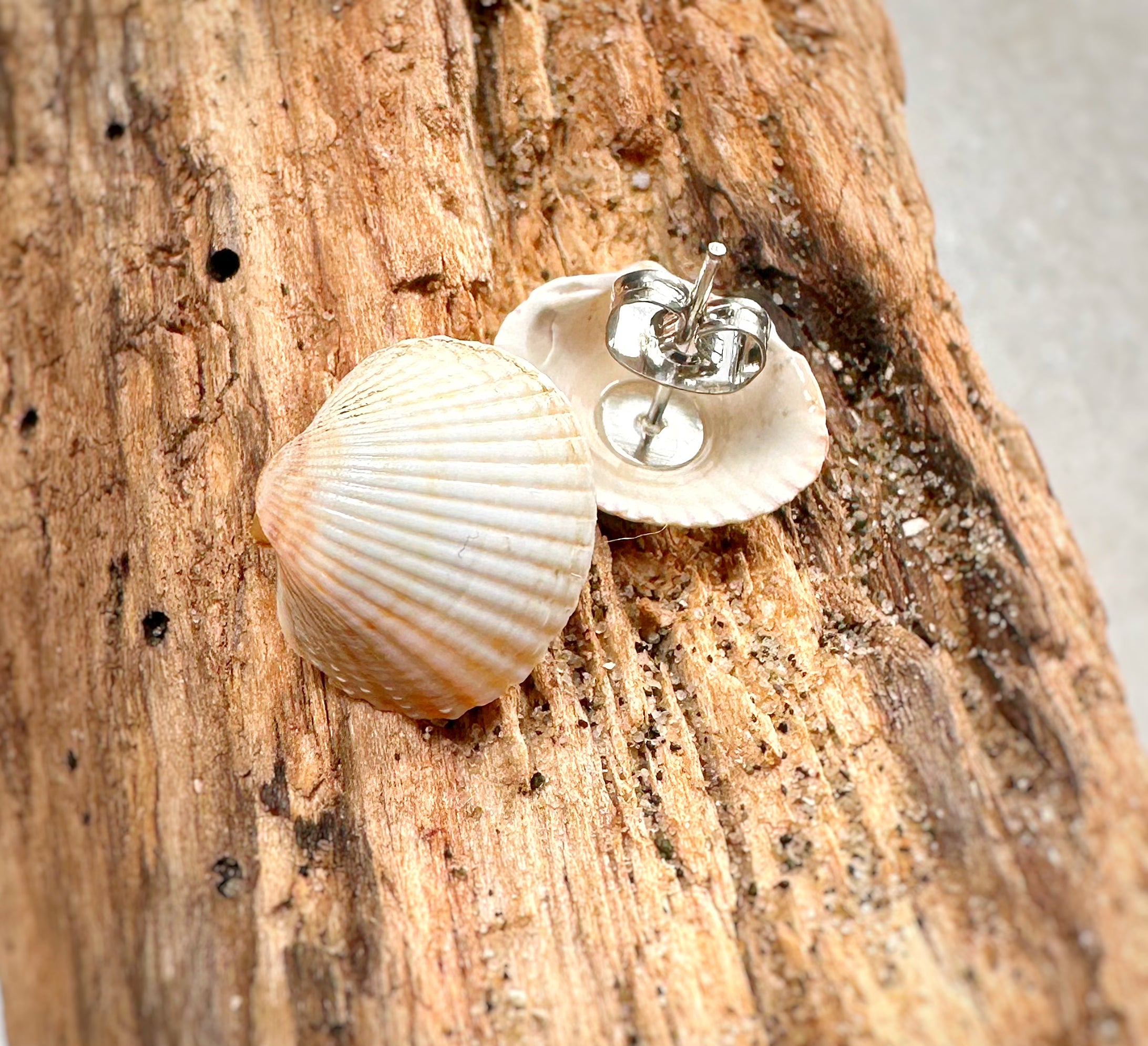 Schelpen oorstekers (silver)