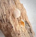 Shell stud earrings (gold)